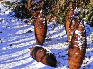 Parco del Sojo - Arte e Natura