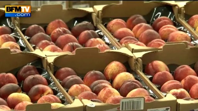Languedoc-Roussillon: vol massif de fruits - 14/08