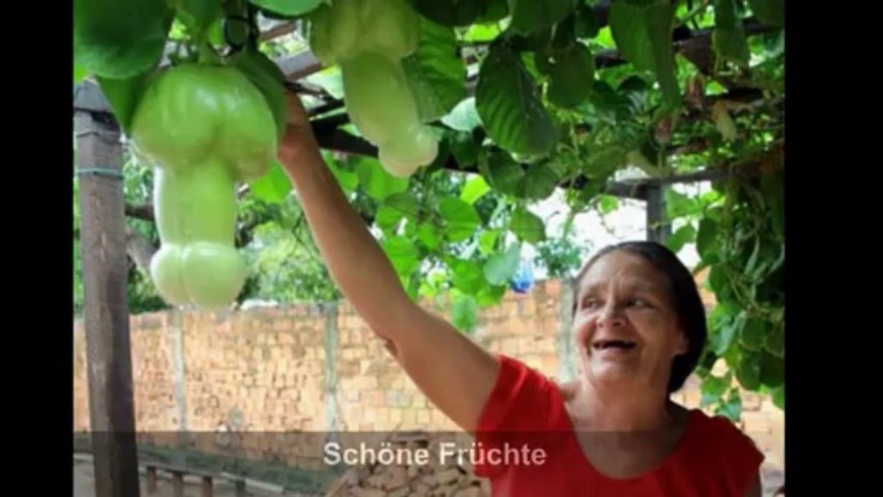 Fotos aus aller Welt