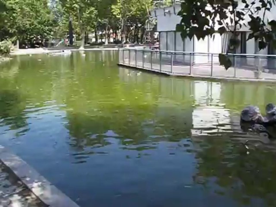 Setubal part2