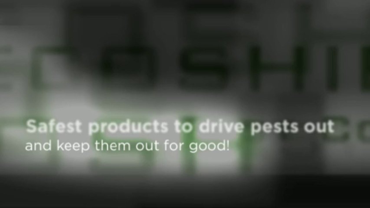 Bed Bugs Treatment | EcoShield Pest Control Call (800) 273-3572