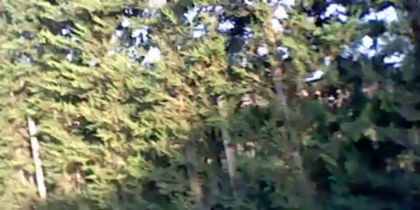 le grand cache cache ep1