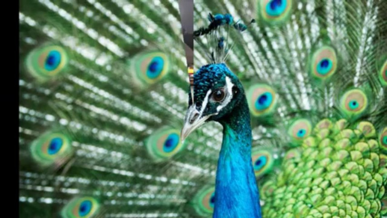 Bilder aus aller Welt