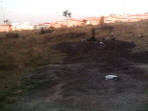 dumanlı yavru uzun seferlı oyunyor arifff 2013 1