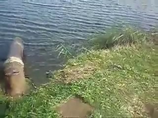 Un russe bourré ne tient plus debout