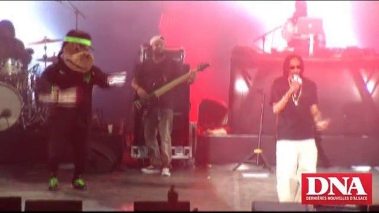 Snoop Dogg aka Snoop Lion en concert à la Foire aux Vins