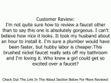 Moen 6810BN Method One-Handle Low Arc Bathroom Faucet, Brushed Nickel Review