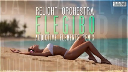 Relight Orchestra - Elegibo (Addictive Elements Remix)