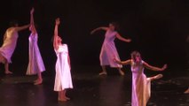 Danse contemporaine - Ballet NATURA