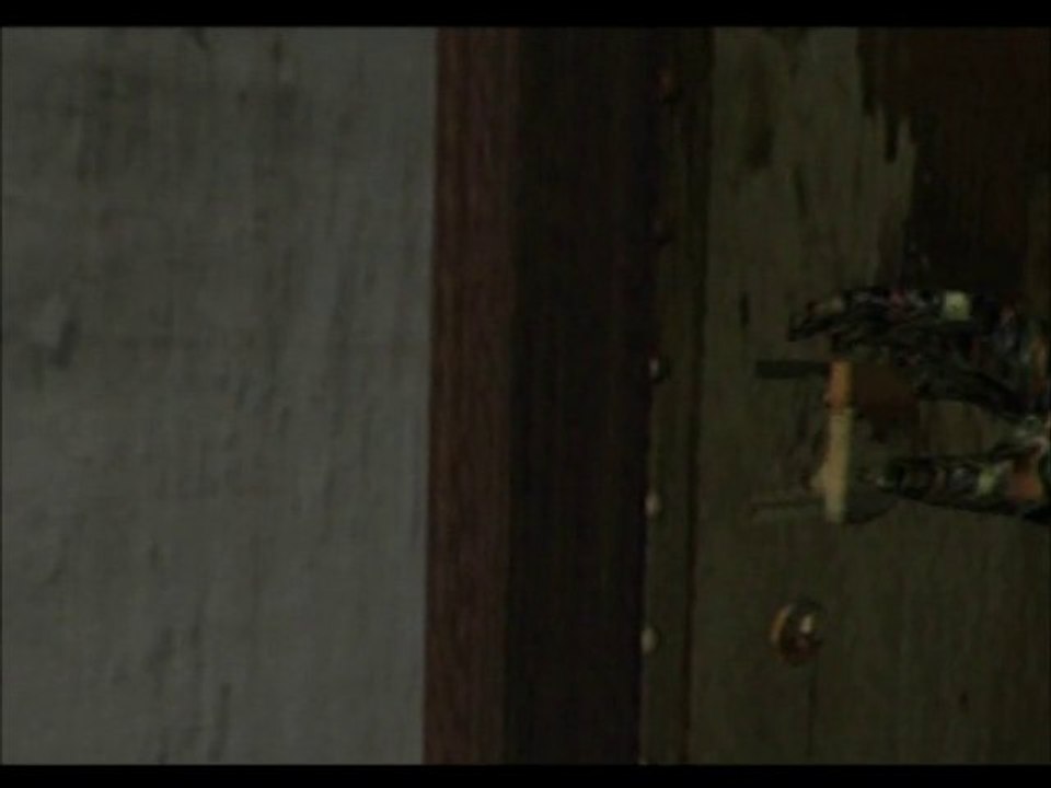 Walkthrough - Resident Evil [Chris] 6/ Chris Vs Hunter