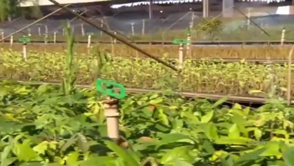 Aventura Selvagem 10/08/13