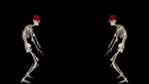 Check out these dancing Skeletons!!  - http://www.vfuns.com