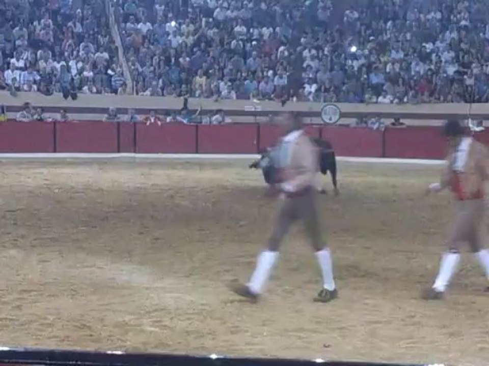 ANTÓNIO IMAGINÁRIO AMADORES DE SANTARÉM PEGA TOIRO DE FRANCISCO ROMÃO TENÓRIO EM ABIUL