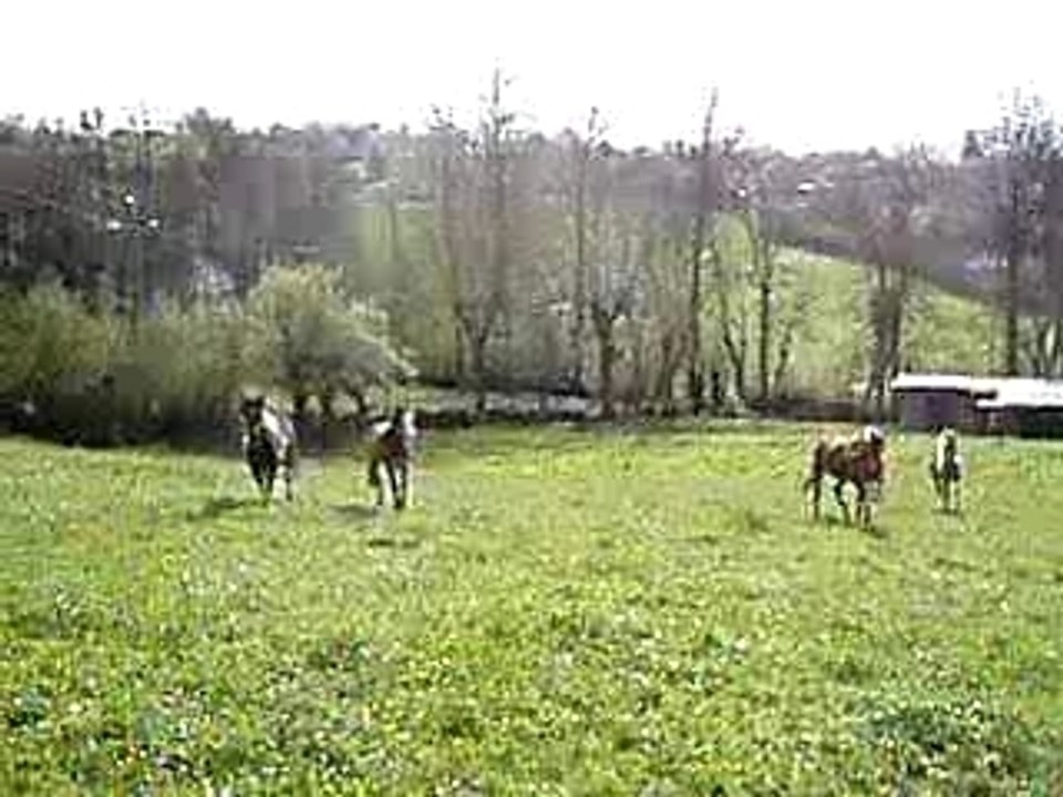 paques2005video1