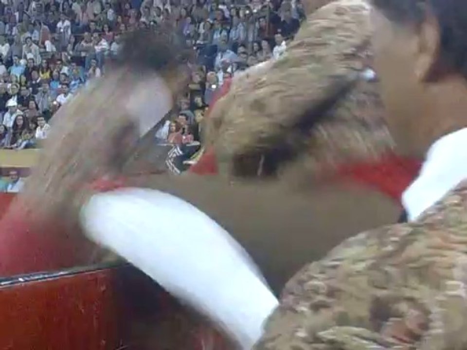 JOÃO VASCONCELLOS NEVES DOS AMADORES DA CHAMUSCA PEGA TOIRO DE FRANCISCO ROMÃO TENÓRIO EM ABIUL