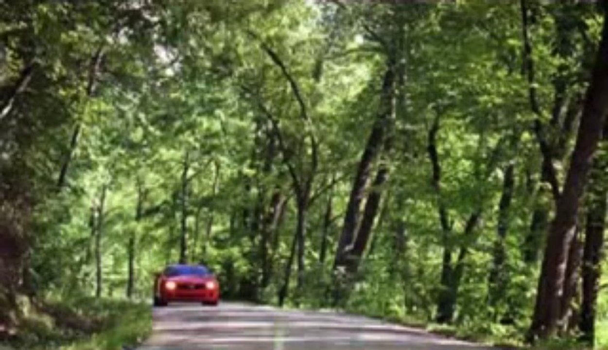 Chevrolet Camaro Dealer Brandon, FL | Chevrolet Camaro Dealership Brandon, FL