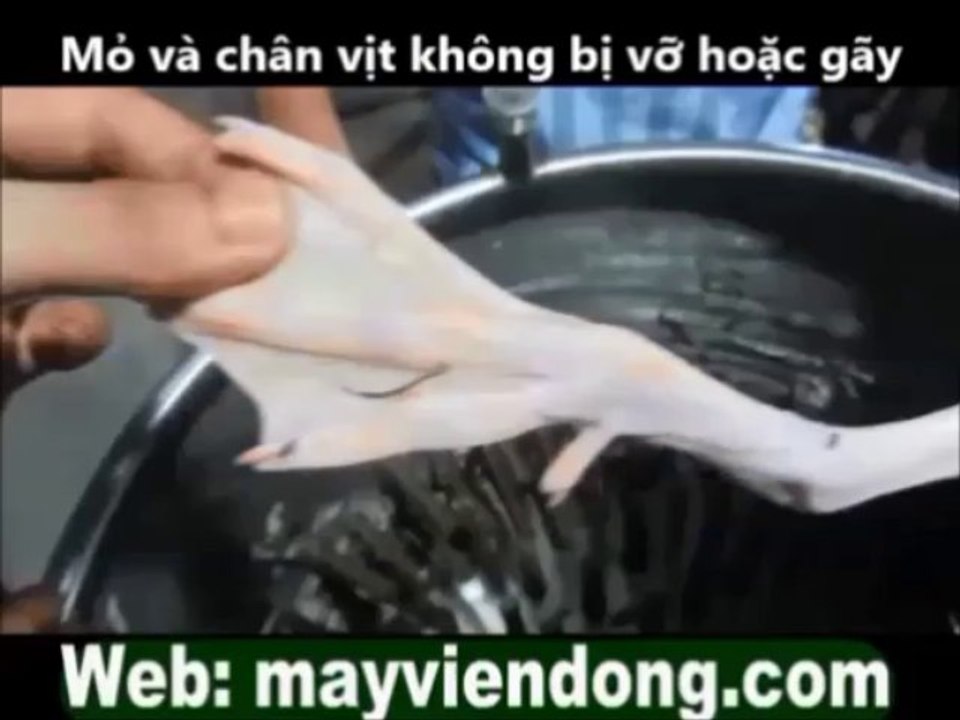 Máy làm gà vịt - máy nhổ lông gà vịt - máy vặt lông gà