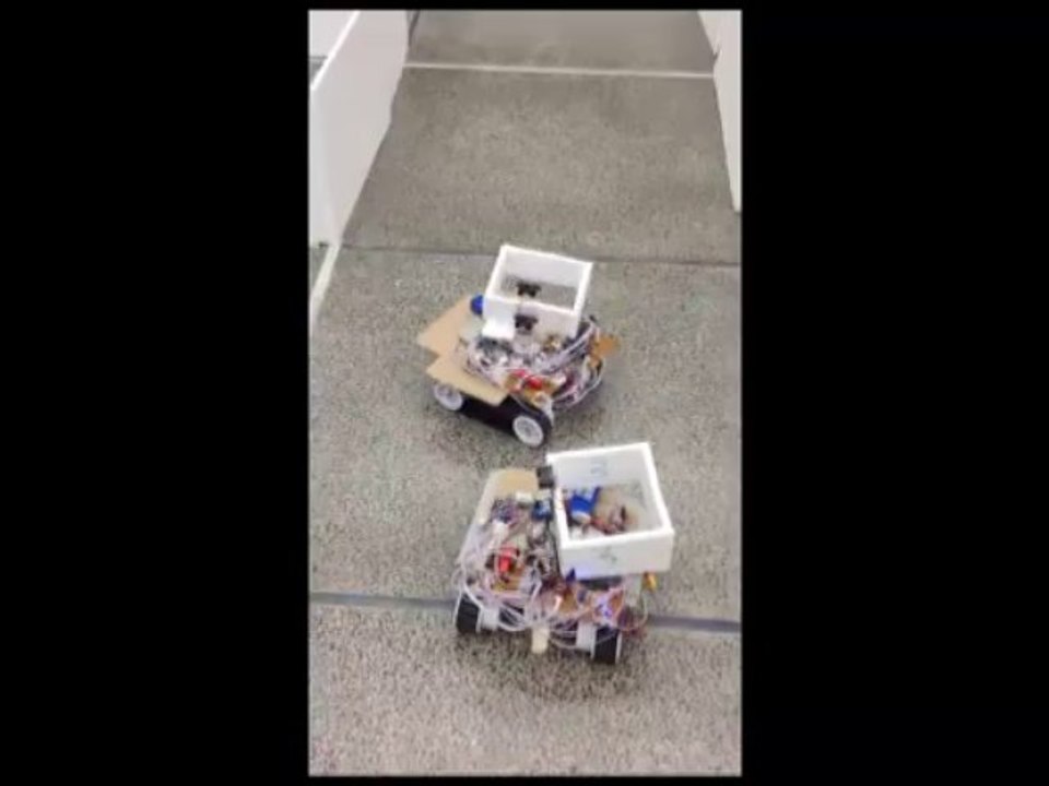 Two Robot Pursuit and Detection