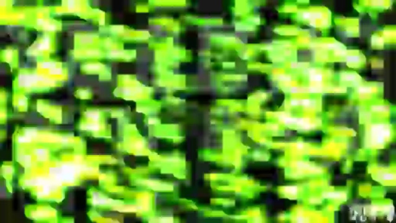 Illusion