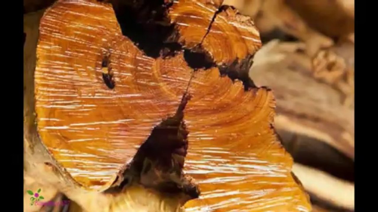 ESCADA Incredible Me Άρωμα EDP Σπρέυ