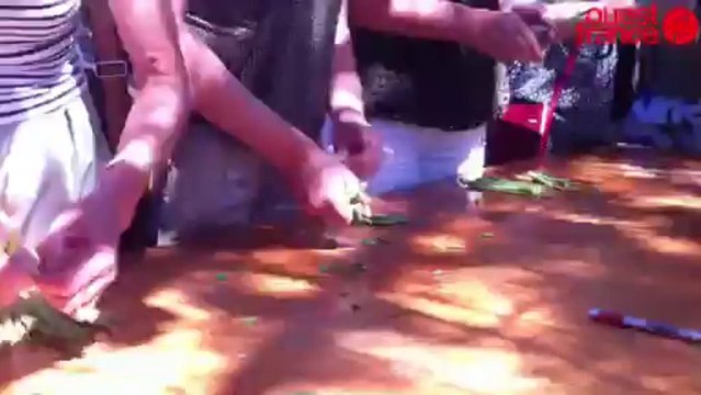 La fête paysanne à Ribou - Traditions et saveurs paysannes