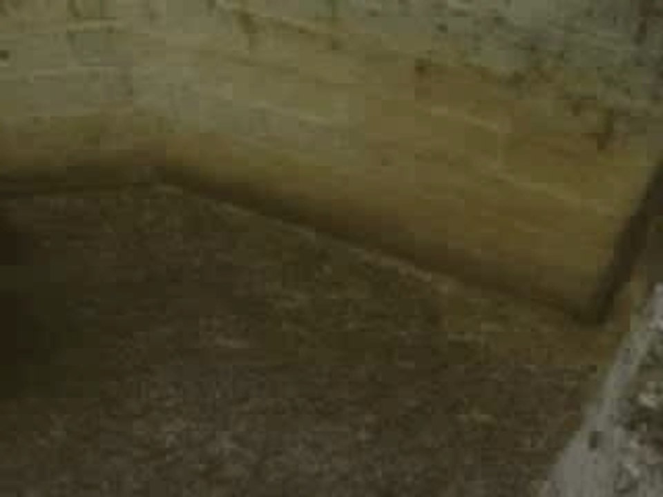 Mouton - coup de belier