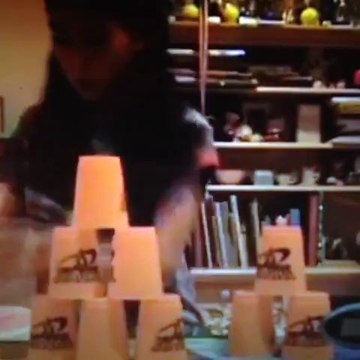 Essayer d'imiter un record avec des gobelets... Gros Fail!!!