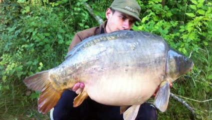 Pêche rapide à la carpe