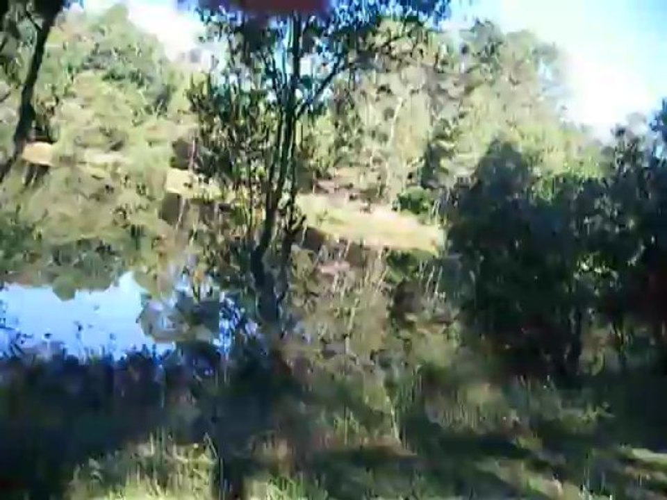 lagorce maine pommier