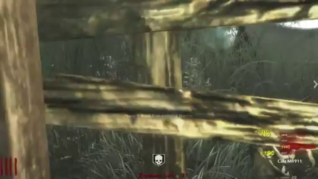 Call of Duty Zombies Custom Maps: Haus Der Untoten - THE FUCKING HIDDEN ROOM! (Part 4)