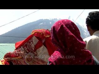 Gangotri Dham: Men Shaking Palanquin of Goddess and then Taking it into the Temple