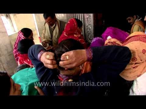 Priest distributes prasad to devotees at Gangotri temple