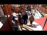 Gangotri Dham: Devotees enter Gangotri temple