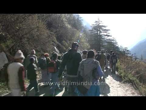 Gangotri Dham: Procession of devotees carrying palanquin of Goddess Ganga