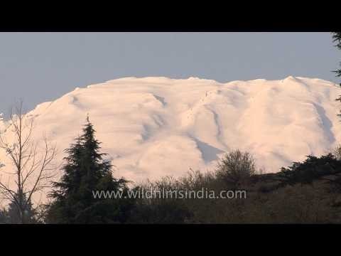 Rugged Snow-clad peak of Gangotri