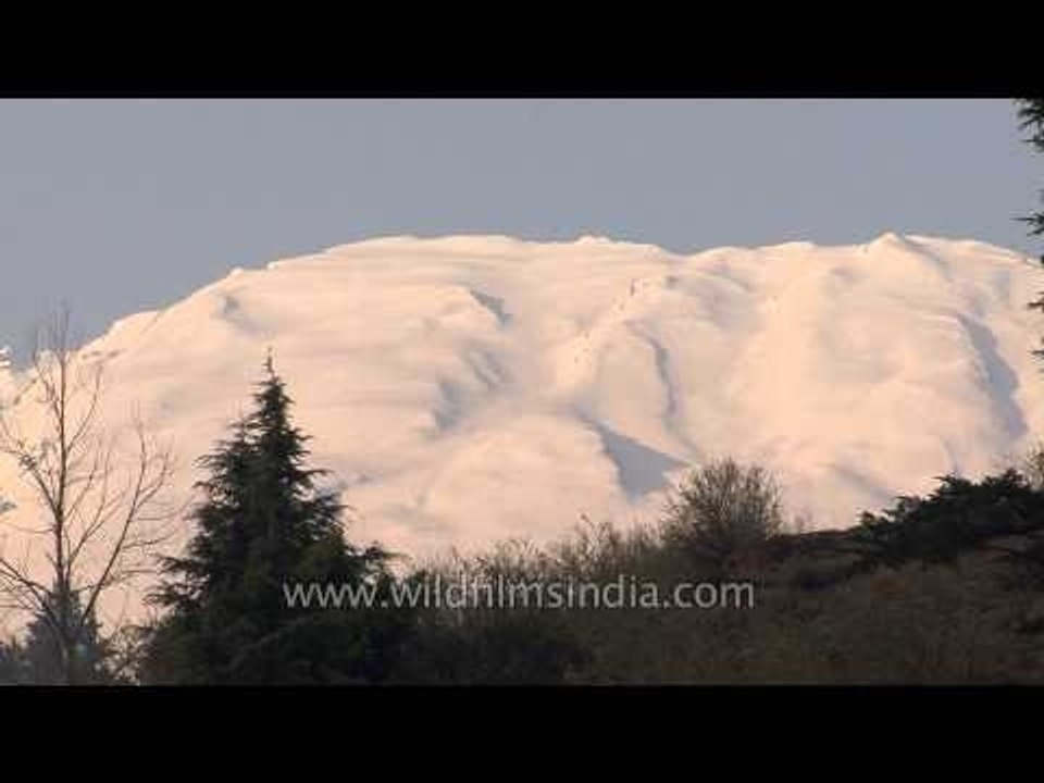 Rugged Snow-clad peak of Gangotri