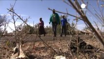 Sudafrica: un anno fa la strage dei minatori di Marikana