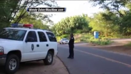 German woman has arm bitten off in Hawaii shark attack