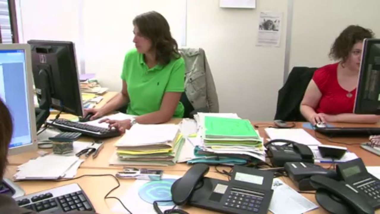 "envisage-moi" et tremplin vers l'emploi