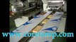 wafers packing machine,wafers flow packer