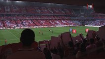 Stade Pierre Mauroy : Un an déjà !