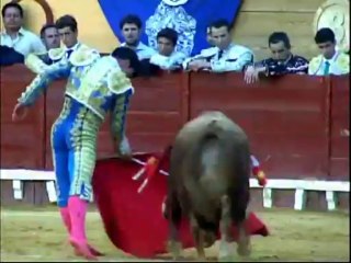 El Puerto - Novillada 15 de agosto 2013