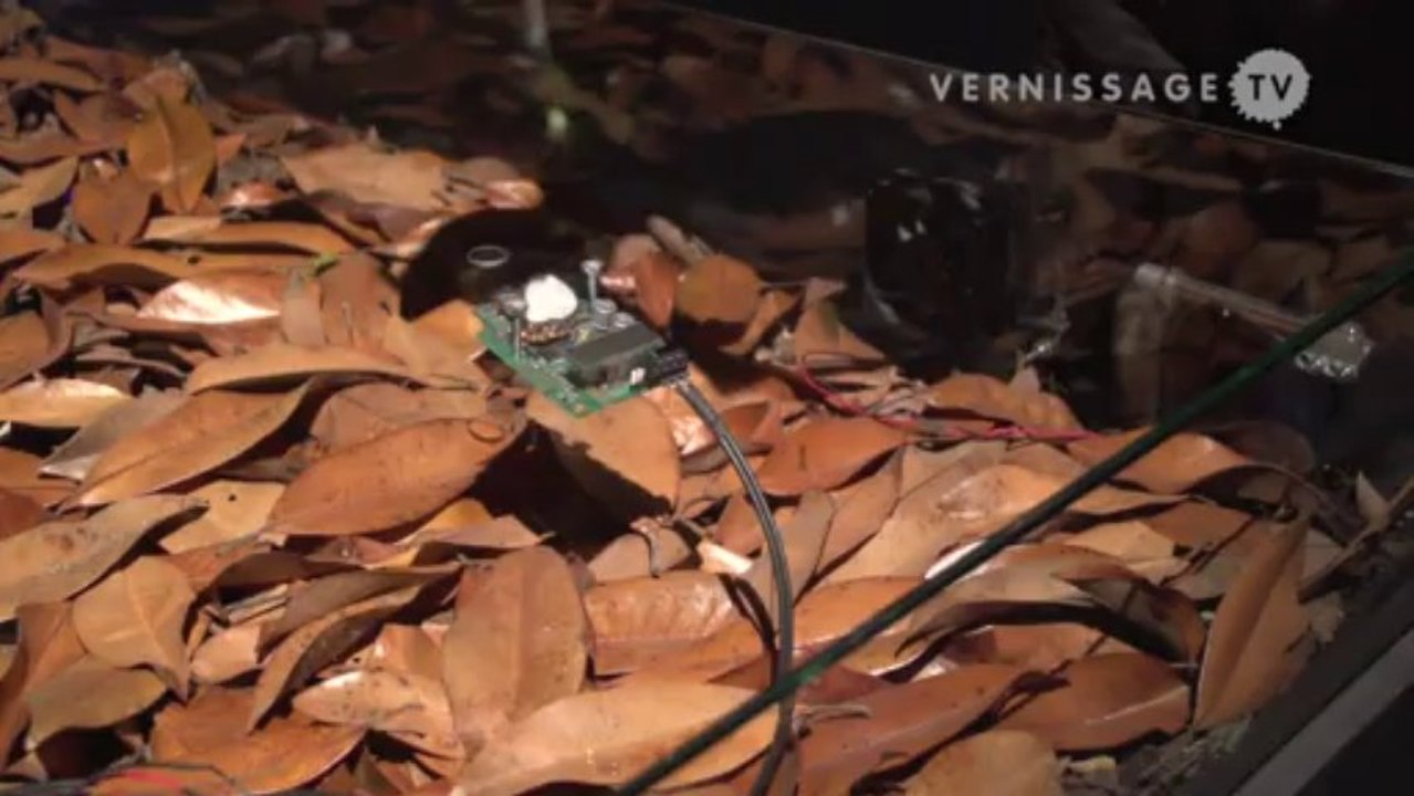 Terike Haapoja at Nordic Pavilion, Venice Art Biennale 2013