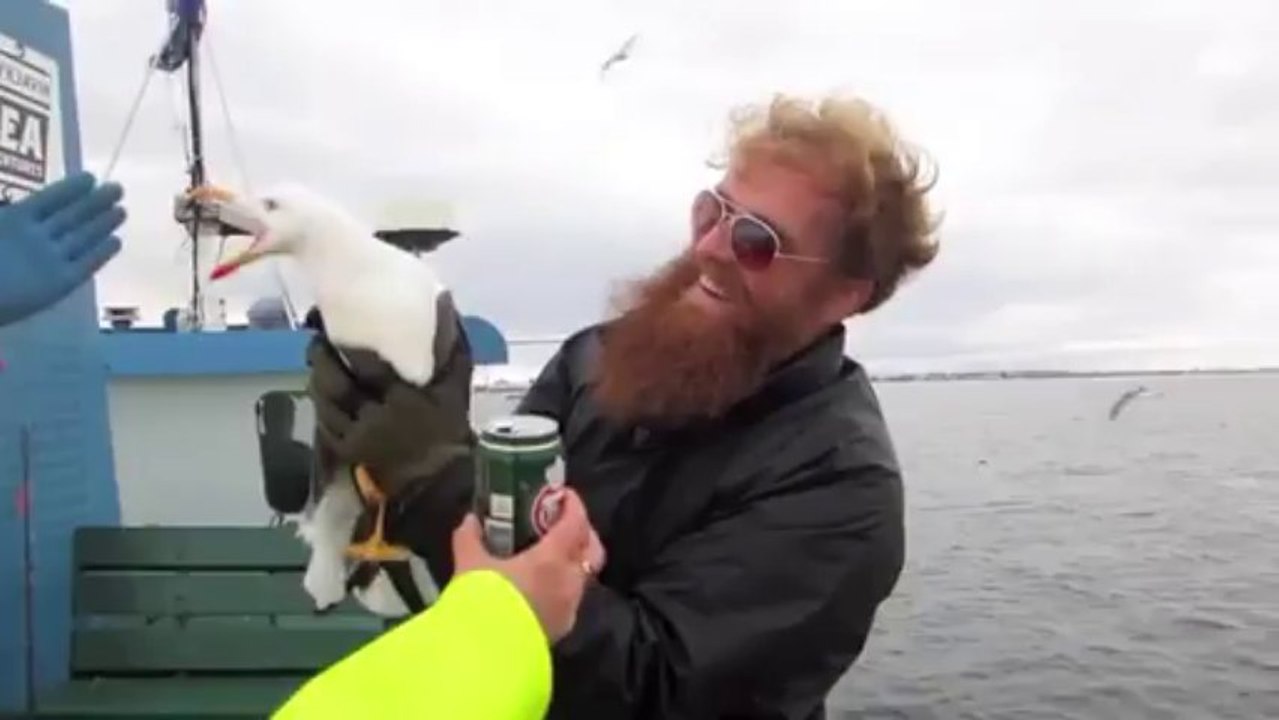 Un pêcheur attrape un goéland en vol... Impressionnant !!