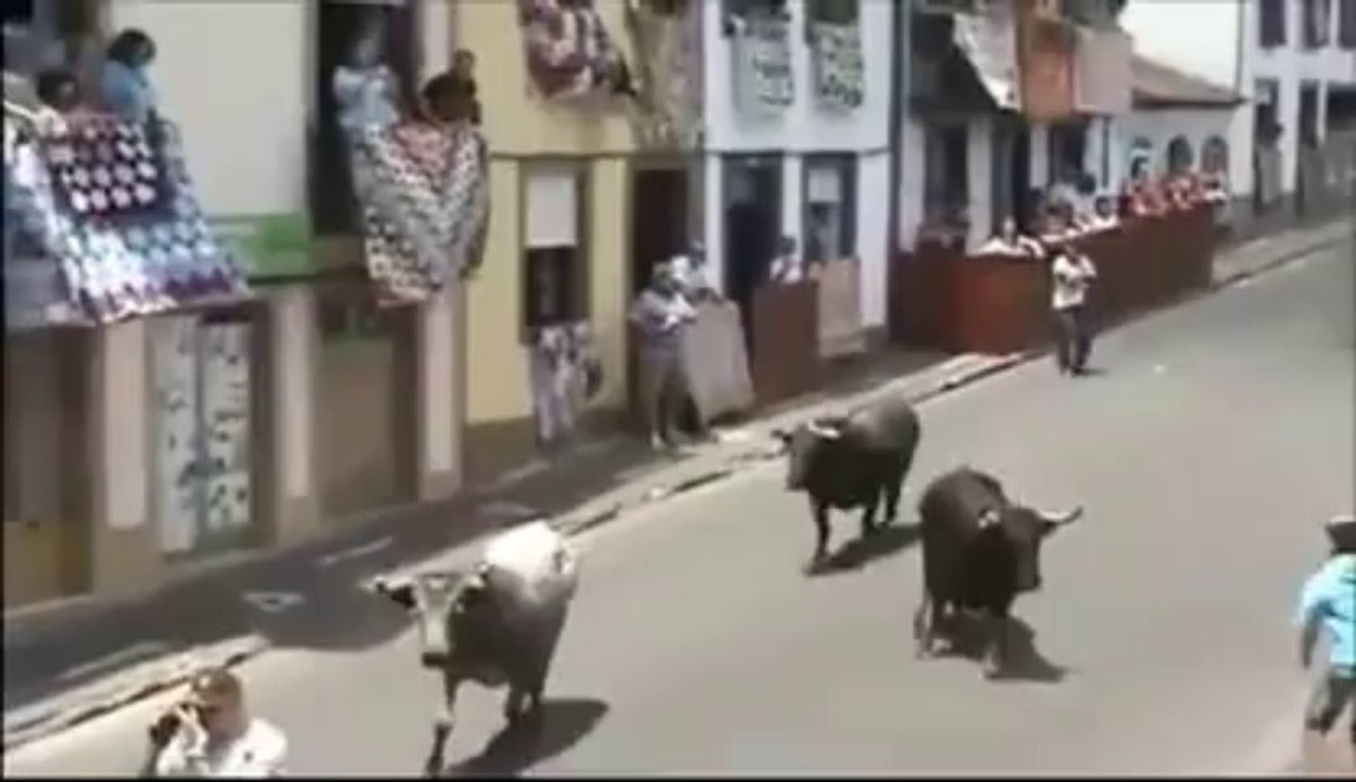Photographer hit by a bull!!