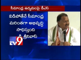 Seemandhra will do better separated from Telangana - DS
