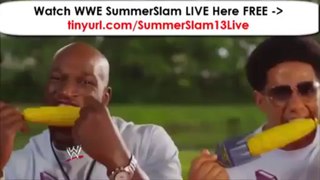 Watch WWE SummerSlam 2013  Lesnar Vs CM Punk Live