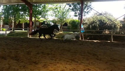 seance de detente entre Jade et Molecule