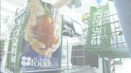 Eco-friendly tips for picnic season