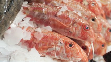 How to choose eco-friendly seafood